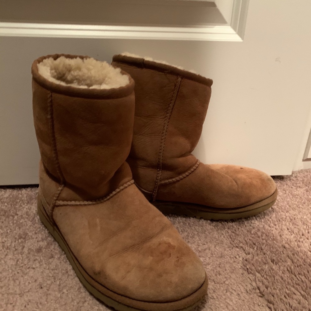 Chestnut Classic Uggs